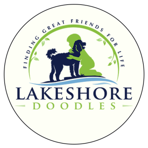 Lakeshore Doodles Logo. New York.