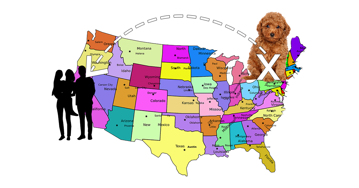 48 states showing shipping a goldendoodle.