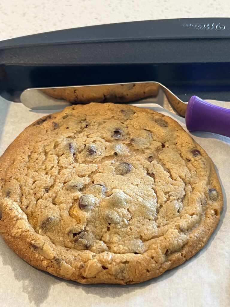 Extra Large Chocolate chip Cookie and Pumpkin dough
