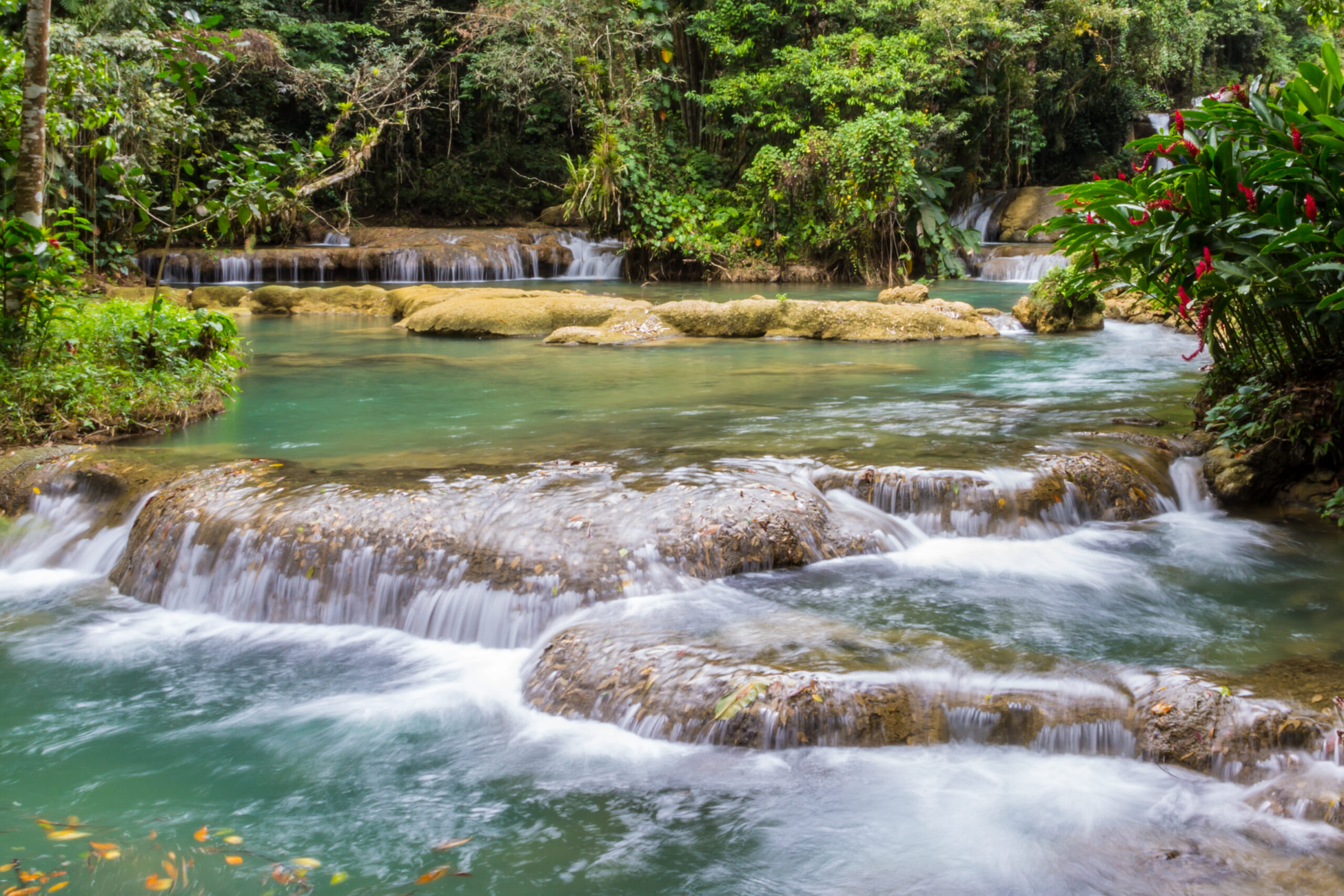 Jamaica water falls