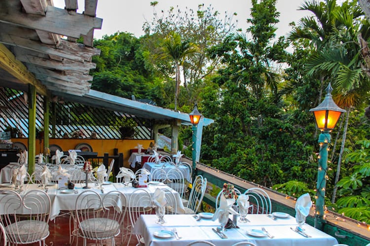 Rainforest Restaurants in Ocho rios