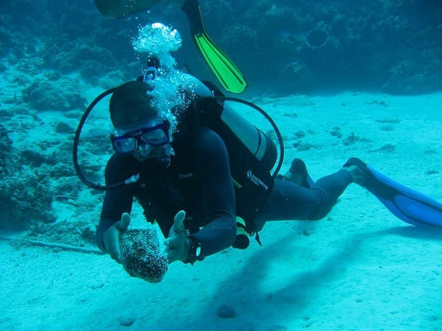 scuba diving Jamaica